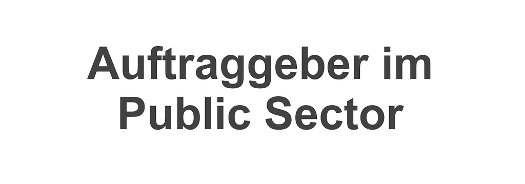 Auftraggeber im Public Sector