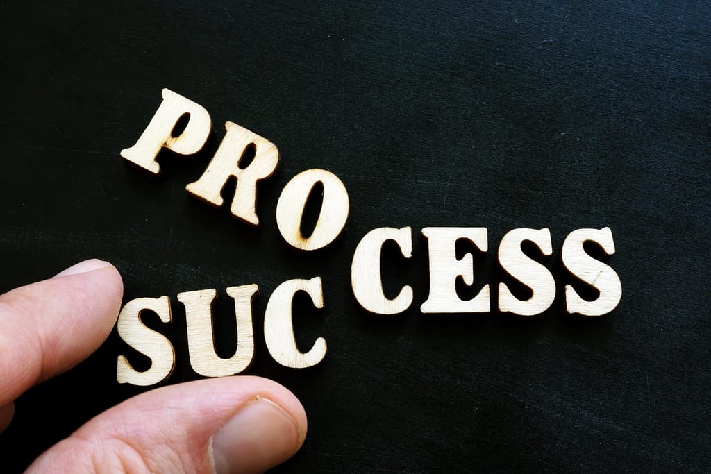 Bild mit dem Text Process/Success und Projektlebenszyklus